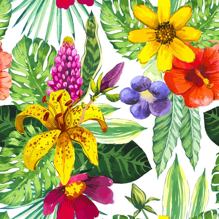 热带植物手绘插画-热带植物手绘简笔画图片素材下载_懒人图库