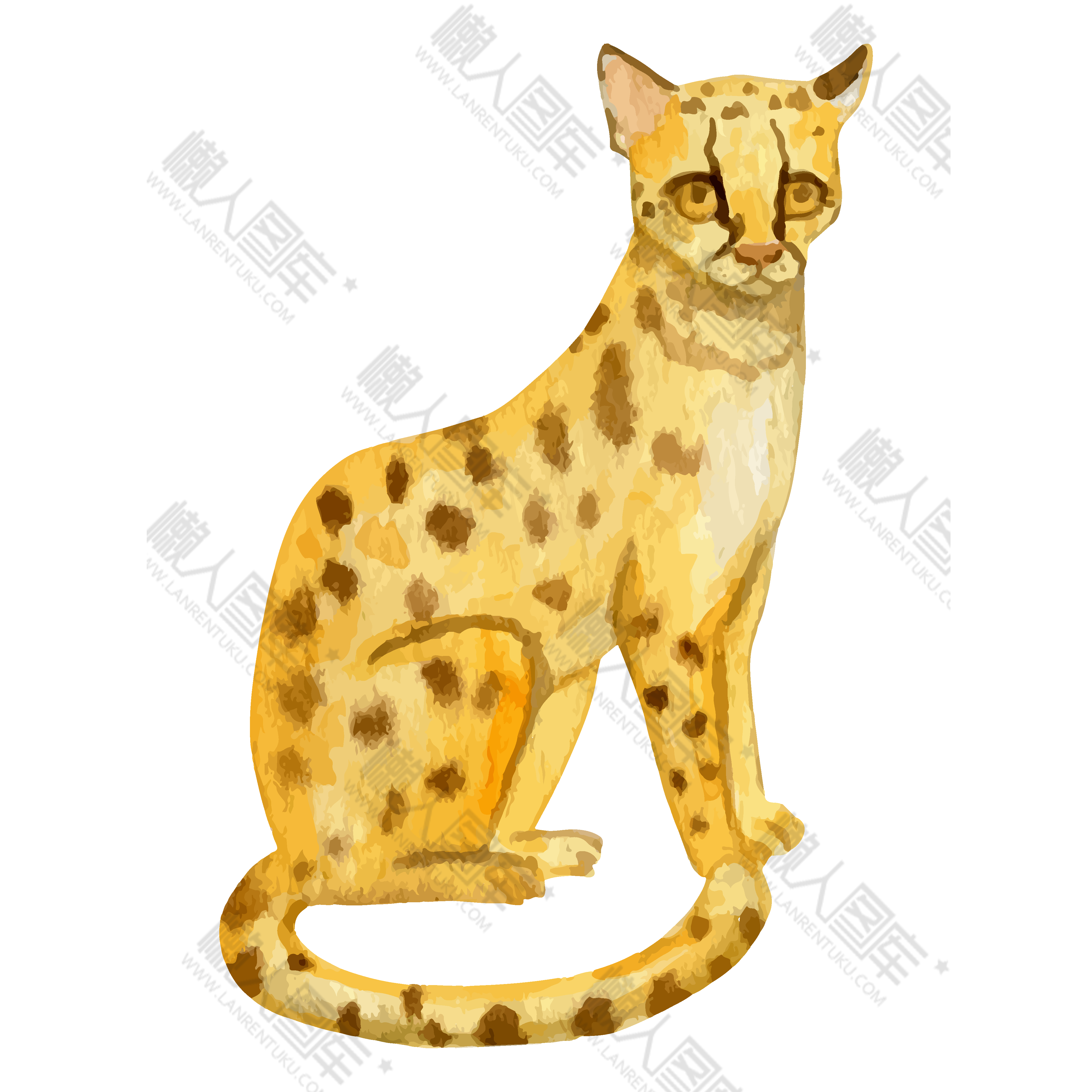 水彩猎豹图片图1