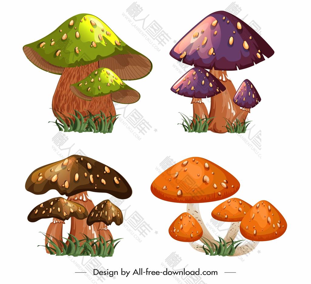 彩色蘑菇插画