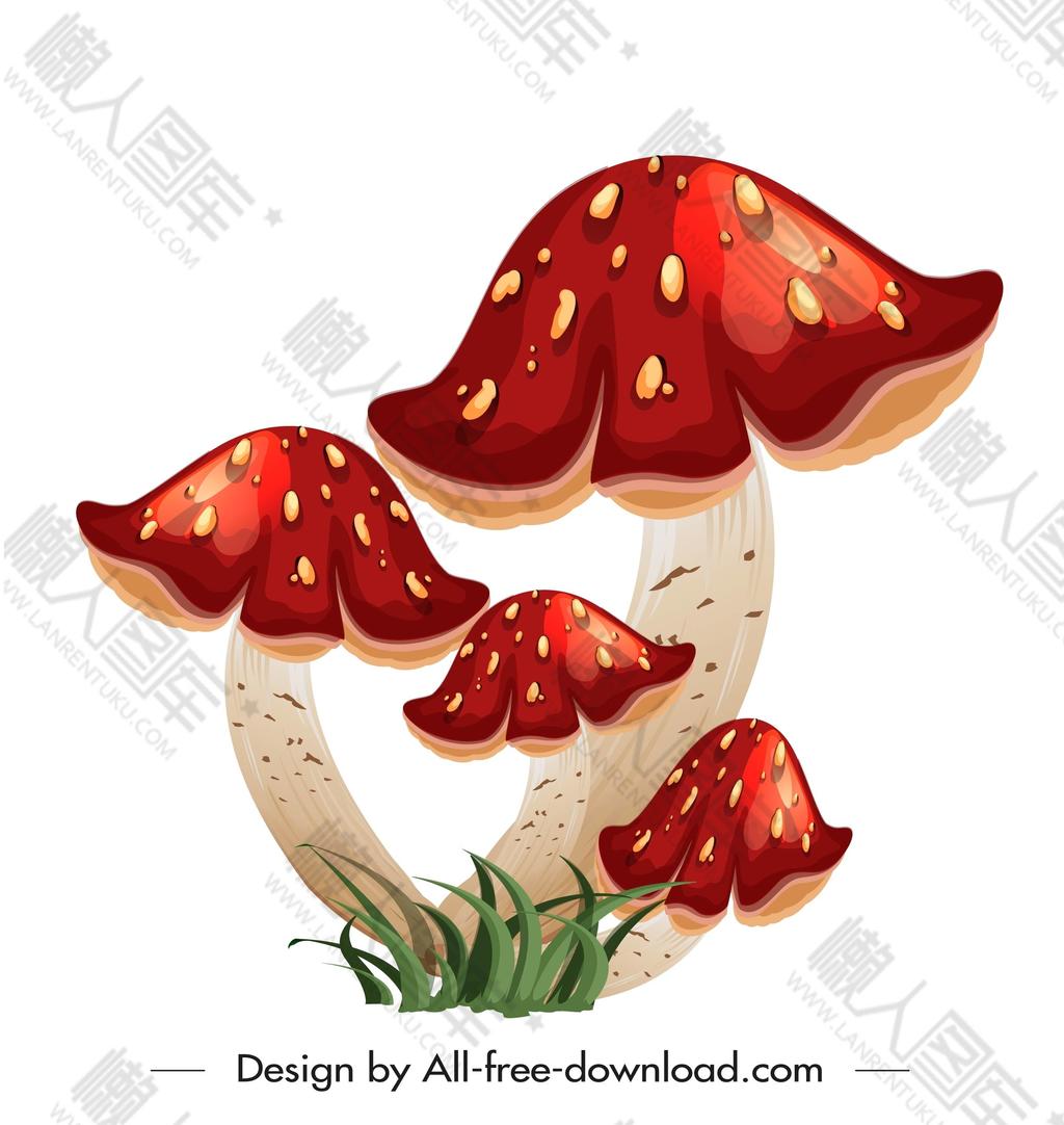 蘑菇矢量插画