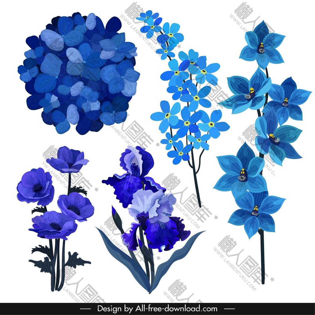 蓝色花卉免抠图