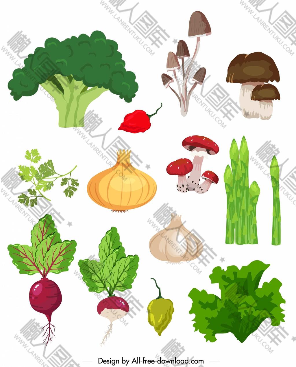 新鲜蔬菜卡通插画