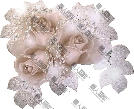 婚礼玫瑰花束