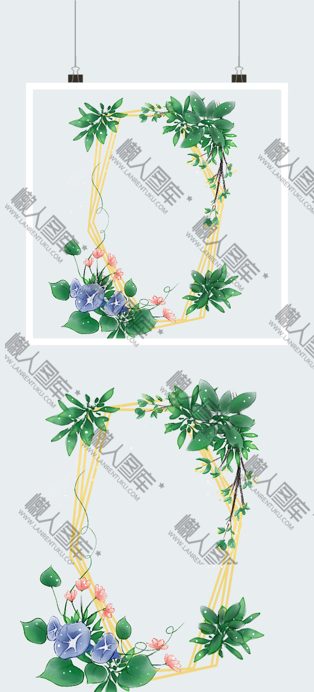 彩绘植物花卉边框