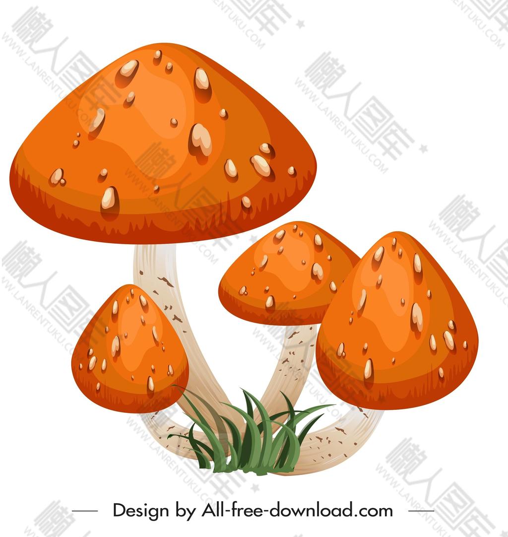 橙色蘑菇