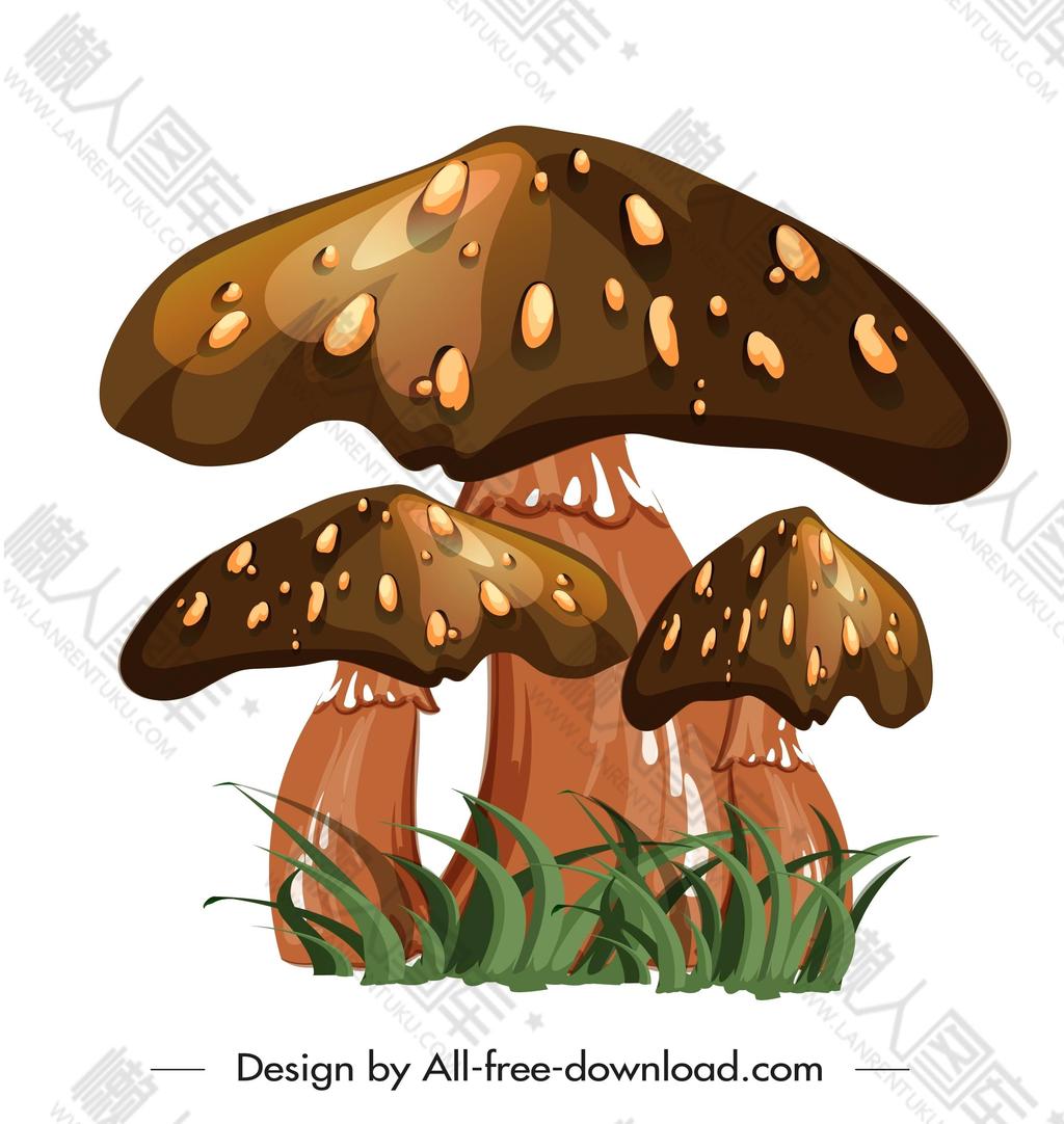 棕色蘑菇插画