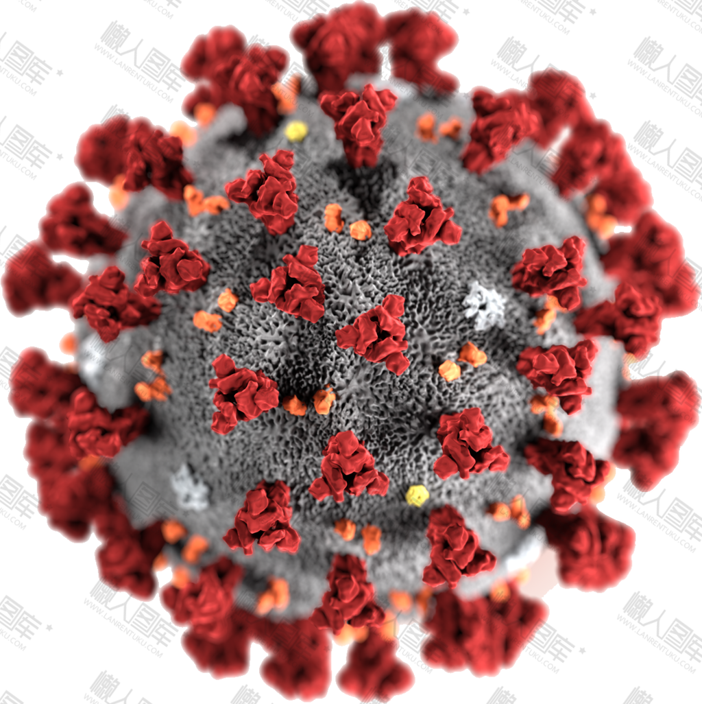 显微镜下的新冠病毒