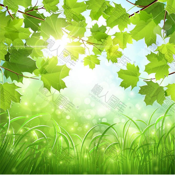 春天绿色树叶背景图片