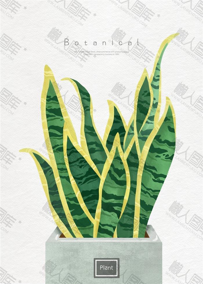 手绘热带植物图片