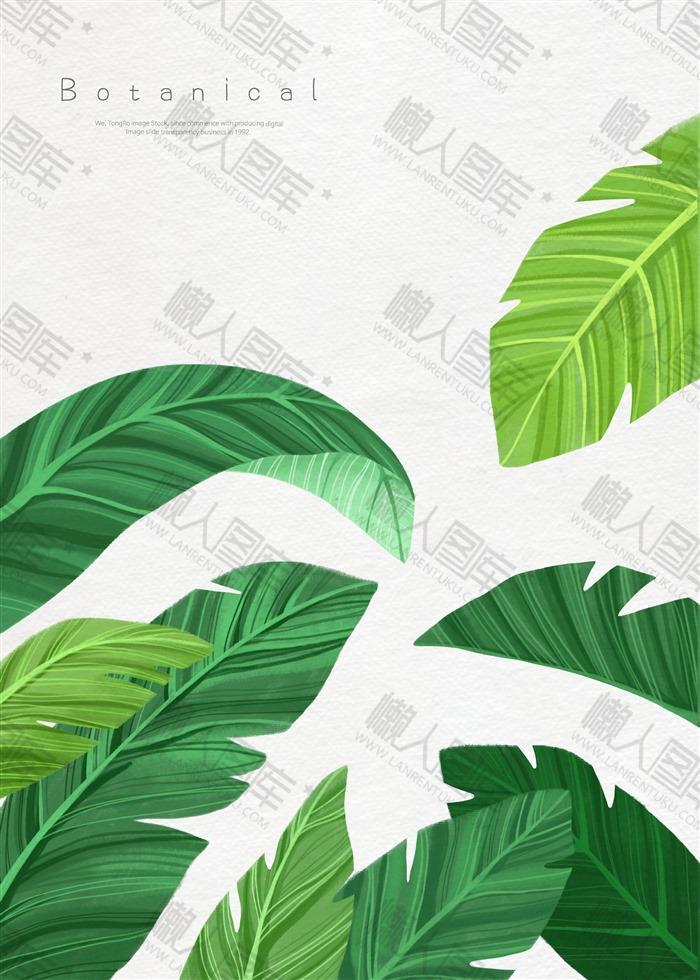 热带植物卡通背景