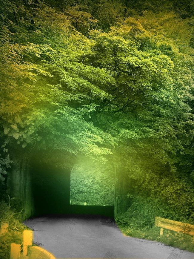 森林隧道手机壁纸