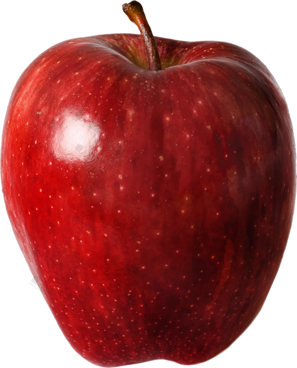 一个苹果真实图片