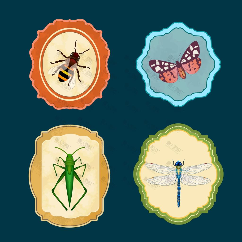 昆虫图标符号