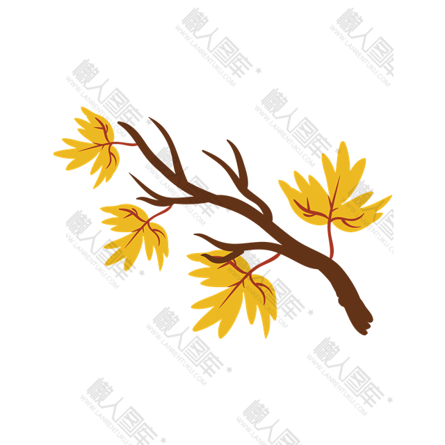 黄色树枝花朵