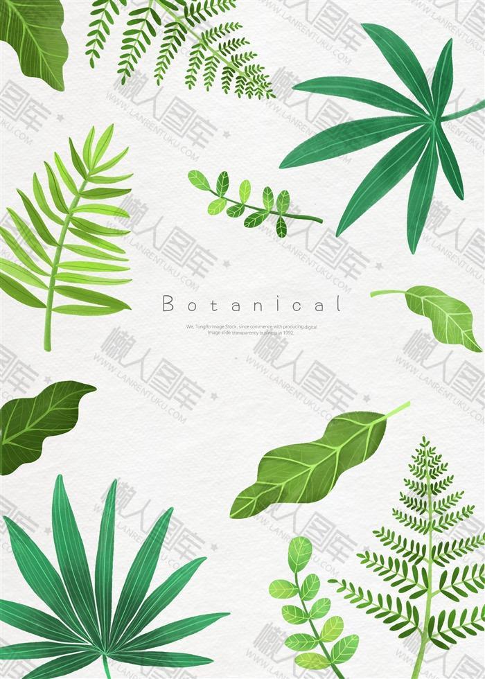 清新热带植物背景图片