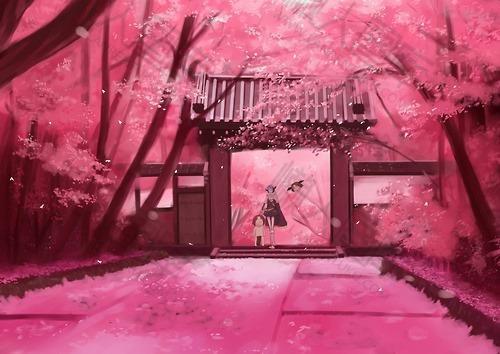 粉色樱花图片图1
