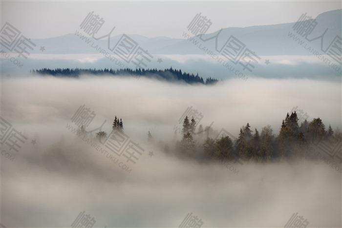 迷雾山林摄影背景图