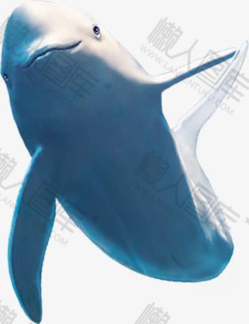 海豚矢量图免抠图1
