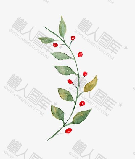 手绘圣诞植物装饰