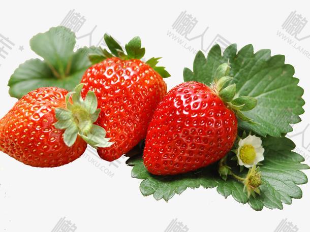 夏日草莓图片