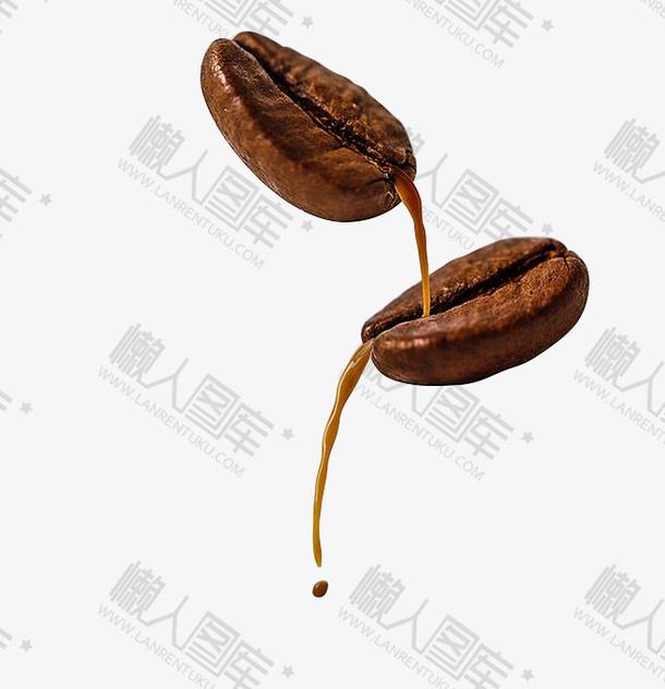 真实咖啡豆矢量图