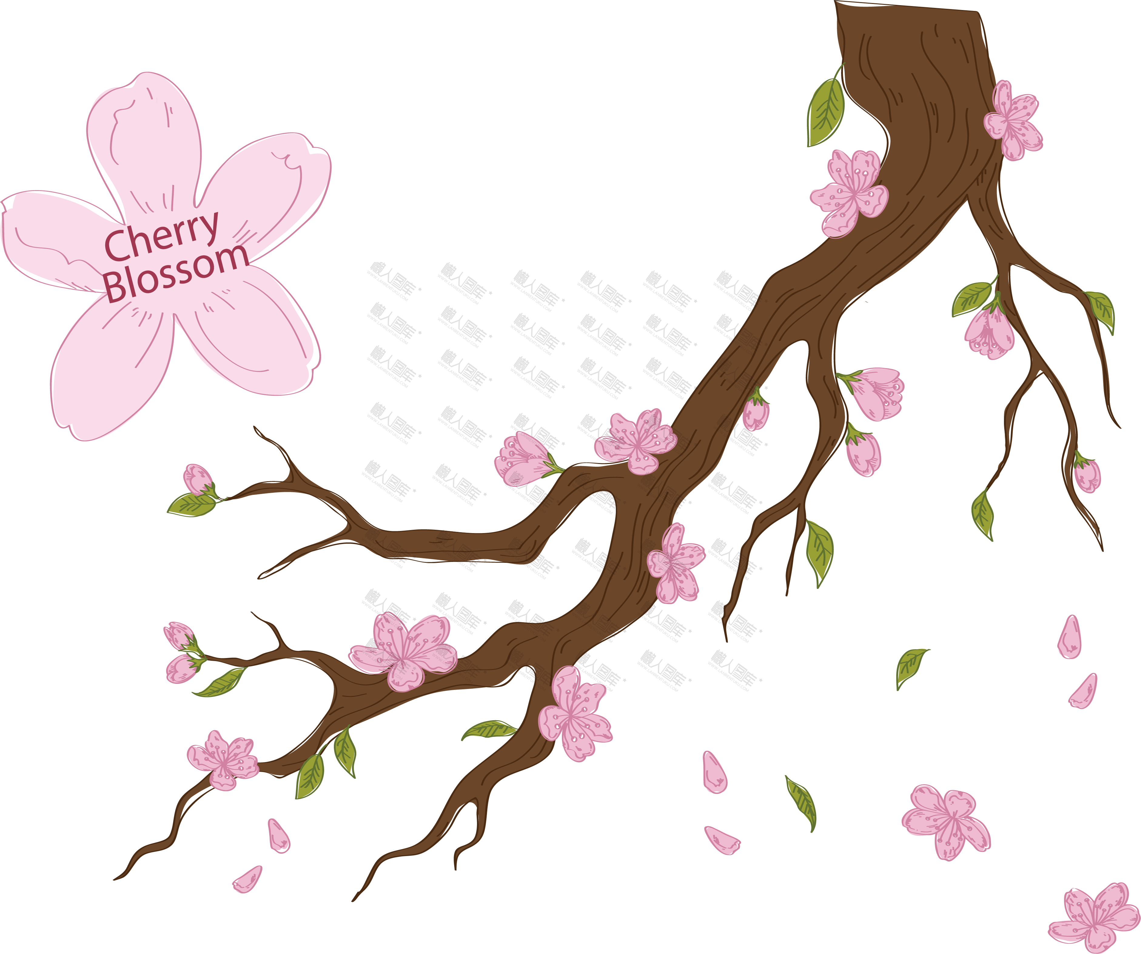 粉色桃花图片图1