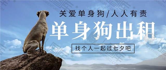 双十一单身节公众号首页图片图1