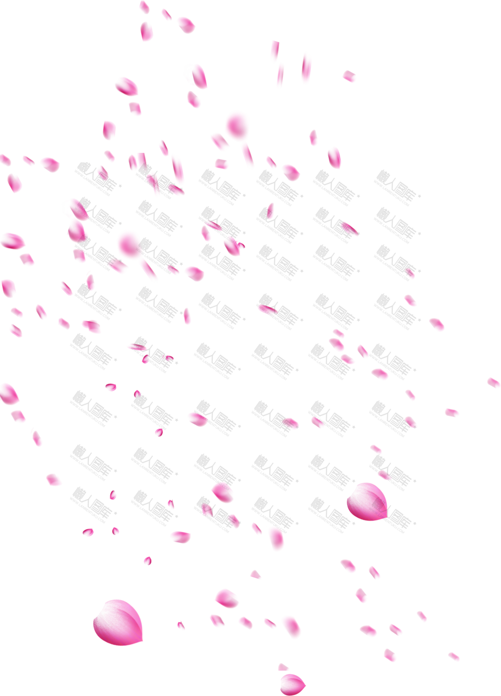 粉色花瓣飘落漂浮元素