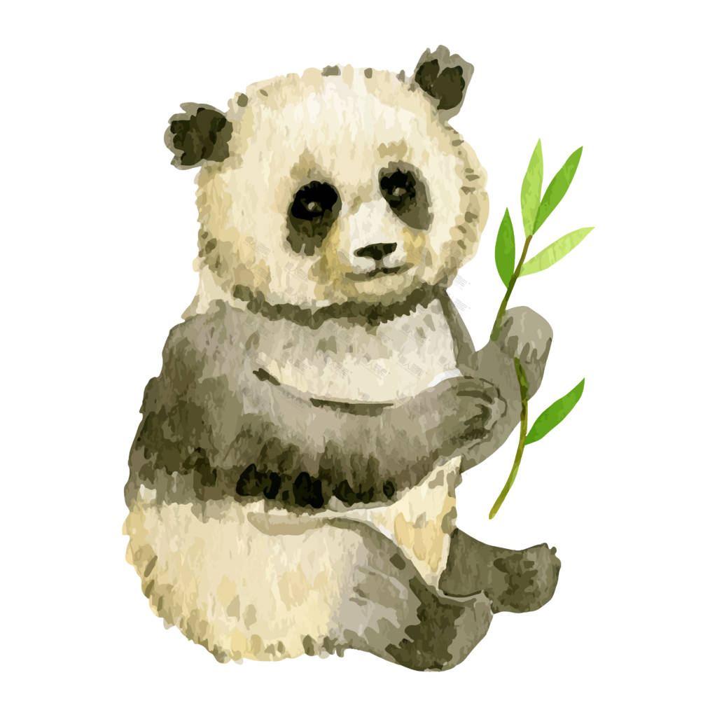 水彩画熊猫吃竹子