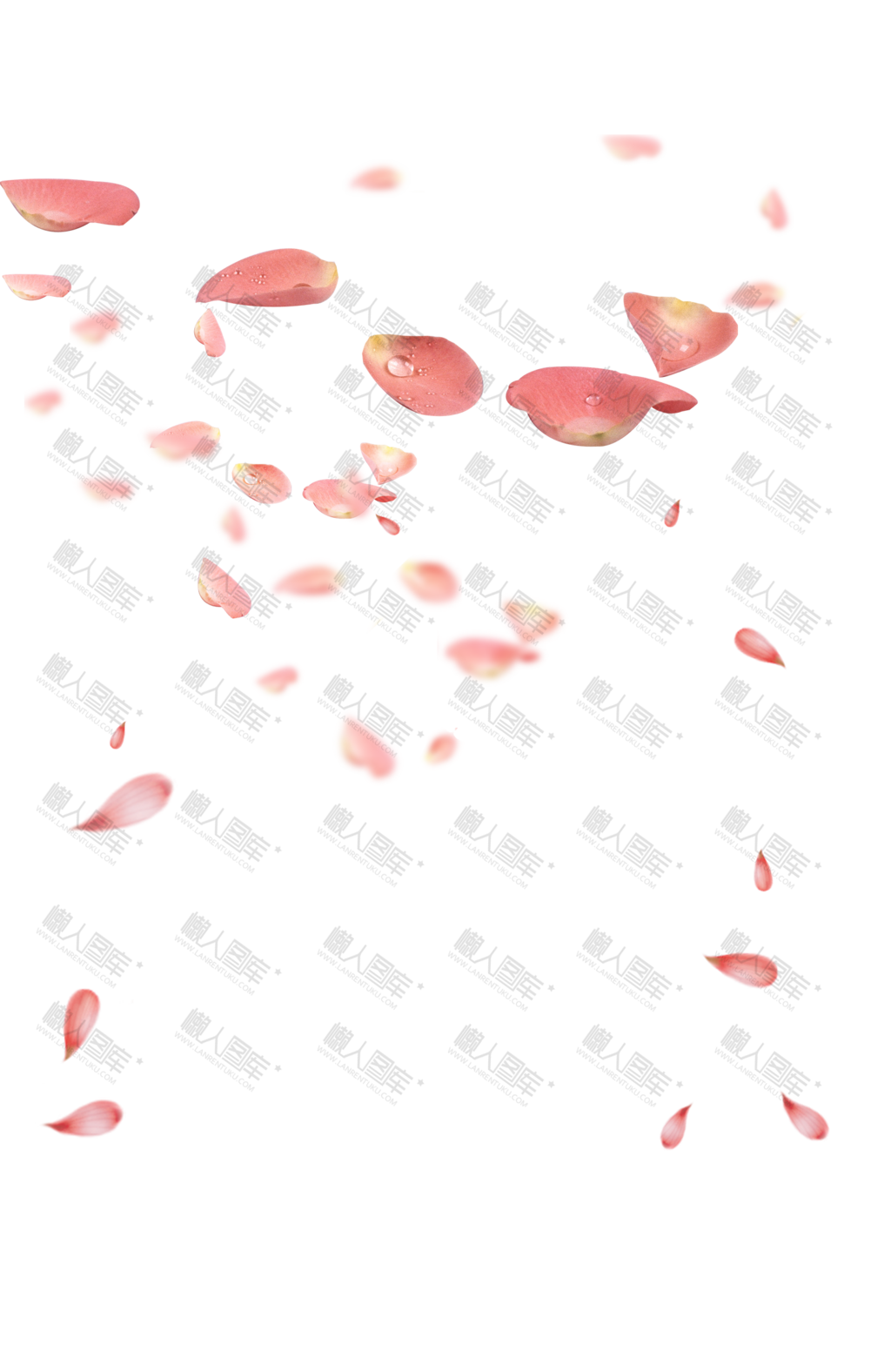 粉色漂浮樱花花瓣