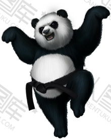 功夫熊猫阿宝图片