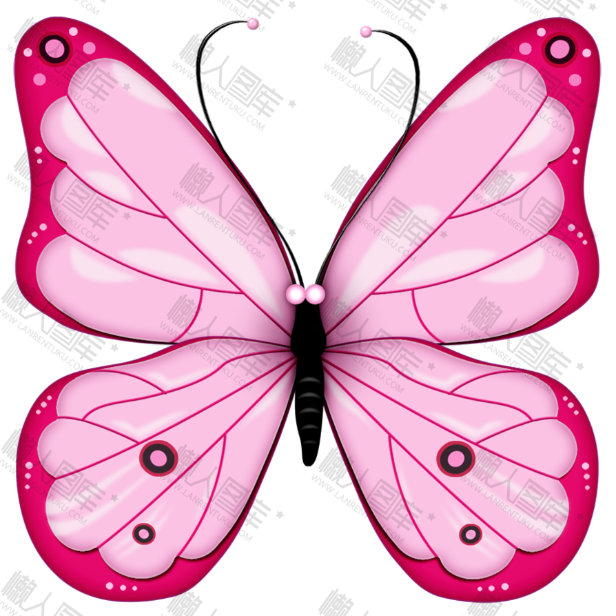 粉红色蝴蝶