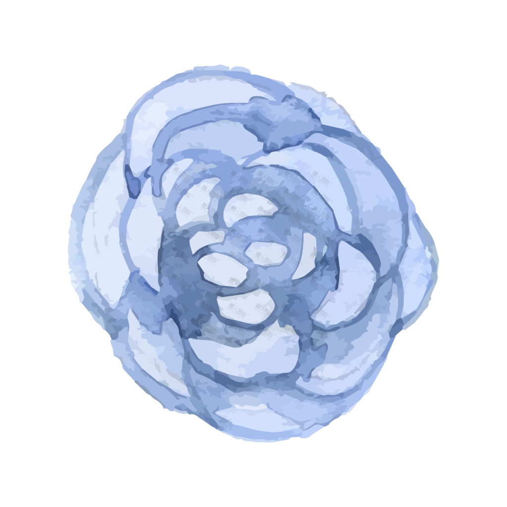蓝色花朵装饰图案