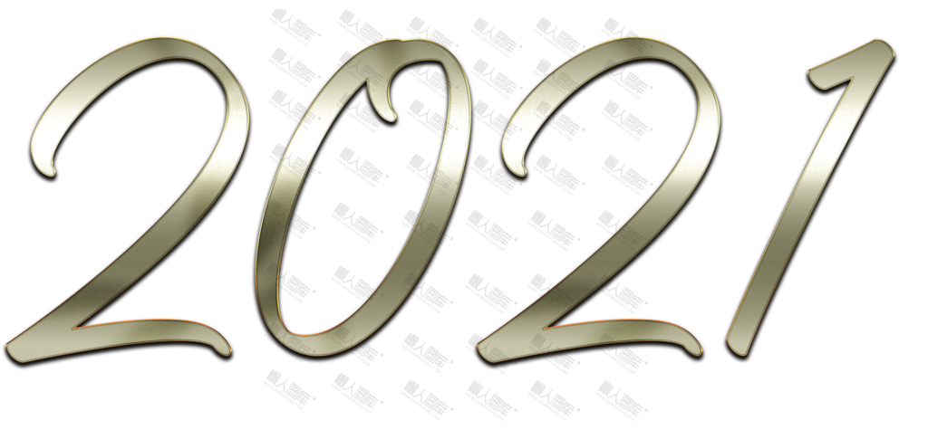 2021数字logo