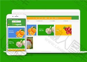 水果蔬菜销售商城H5网站模板