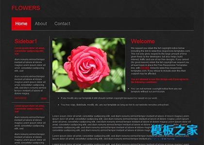 花卉公司HTML5企业模板图2