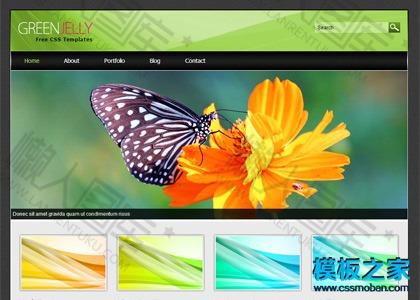 模糊背景网站模板图2
