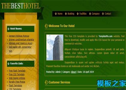 最佳主题酒店网站模板图2