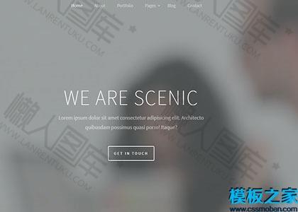代理商可视化网站模板图2