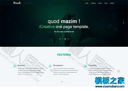 响应试设计师工作室html5模版图2