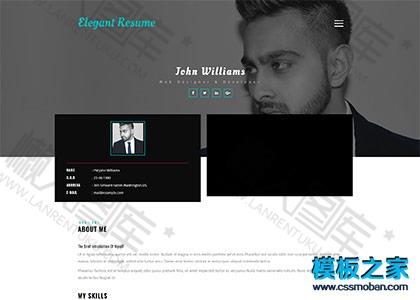 程序员个人简历单页模板图2