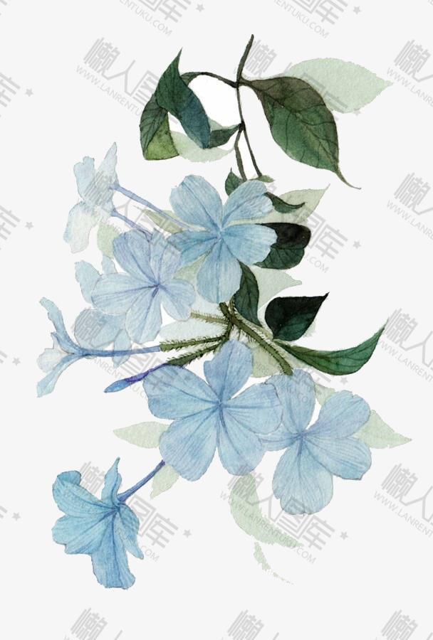 蓝色花卉国画图片
