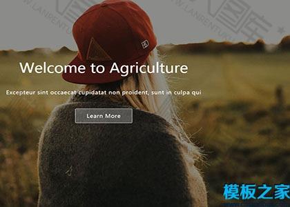 科技农业响应式网站模板图2