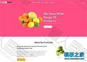 水果种植批发网站模板