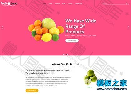 水果种植批发网站模板图2