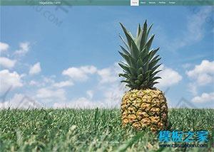 css3动画农业技术公司html网站模板