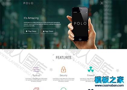 App项目开发展示网页模板图2