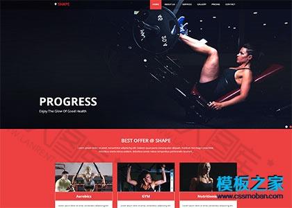 健美网站模板图2