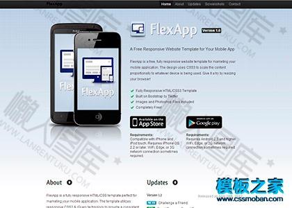APPLE APP企业展示模板图2
