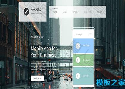 扁平化移动业务应用着陆页模板图2